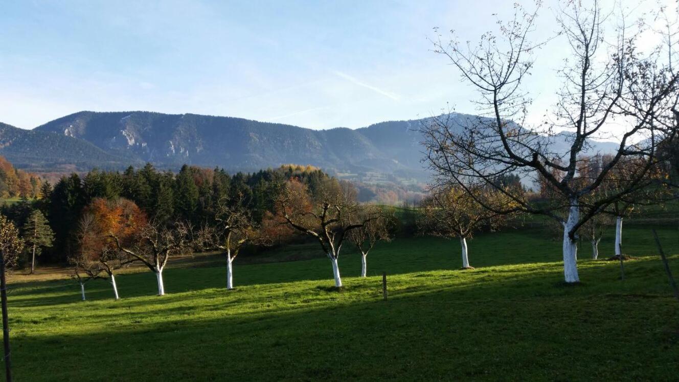 Villa Weissnhof à Samerberg Extérieur photo