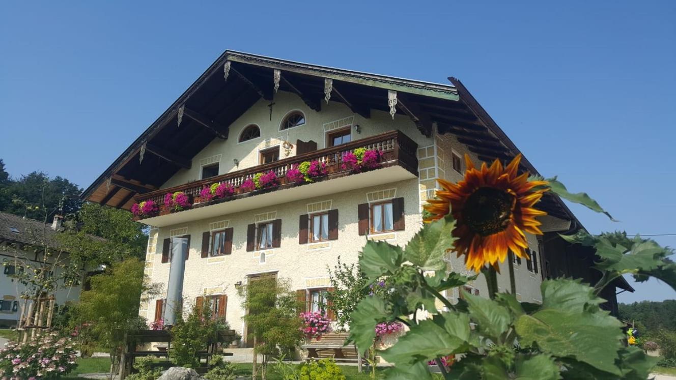 Villa Weissnhof à Samerberg Extérieur photo